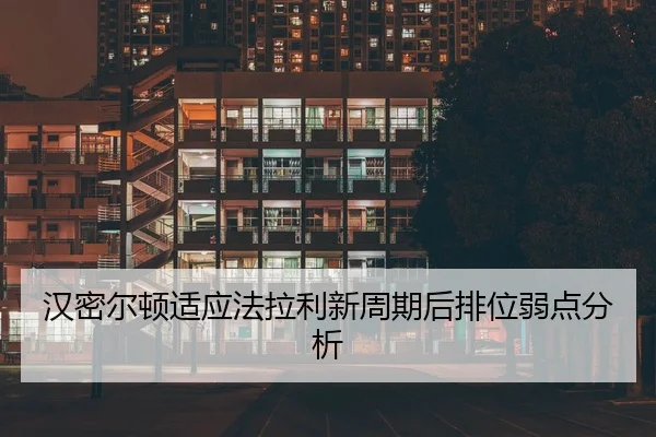han-mi-er-dun-shi-ying-fa-la-li-xin-zhou-qi-hou-pai-wei-ruo-dian-fen-xi-2-444.jpg