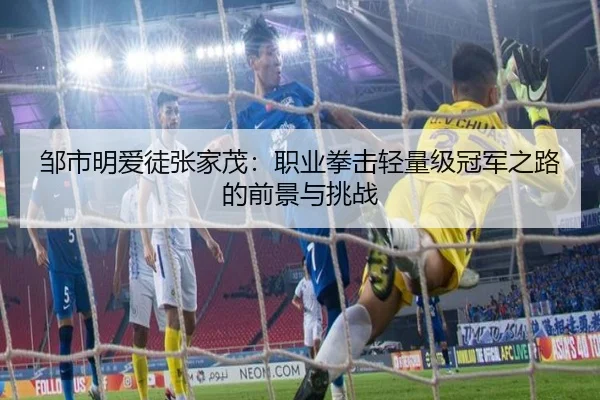 邹市明爱徒张家茂：职业拳击轻量级冠军之路的前景与挑战