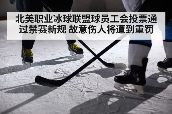 北美职业冰球联盟球员工会投票通过禁赛新规 故意伤人将遭到重罚